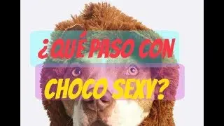 ¡URGENTE! ¿Por qué deje de subir vídeos? /CHOCO SEXY
