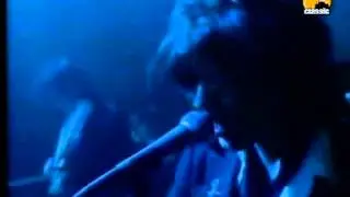 The Waterboys   The Whole Of The Moon
