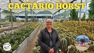 cactário Horst em Imigrantes RS, como é cactario Horst #suculentas #cactos