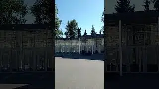 Типичный Петербург