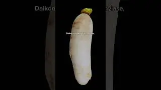 Daikon is more than a garnish. #vietnamesecuisine #vietnamesefood #vietnamesedish
