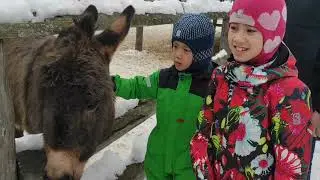 Кантри резорт Вербилки