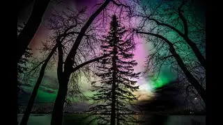 The Northern Lights in CANADA w/ Music