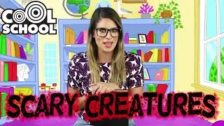 SPOOKY CREATURES! 🎃 Ms. Booksy's Scary NOT Scary Stories for Kids 👹