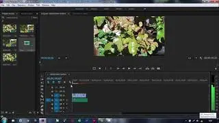 Fungsi Menu Dan Tools pada Adobe premire