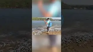 Рай для рыбаков