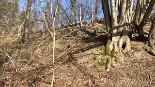 FoxTerier Zikmund Laro Slovakia