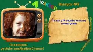 7 фактов #9 -Всё обо всем! И обо всех!