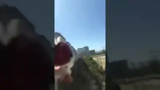 LPS: Маленький эдит💖🌸