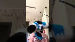 Рофл 