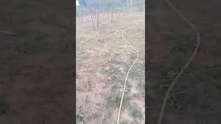 Не правильно понял поставленную задачу