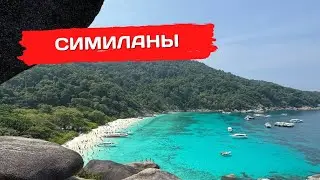 Симиланы лучшие острова? Плавали с черепахой