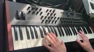 Soft Collapse // live ambient stories