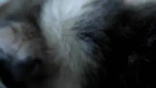 MOV04526