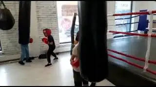 Тренировки детей. Бокс.