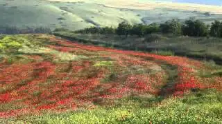 leBinyomin amar - לבנימין אמר - of Benjamin he said