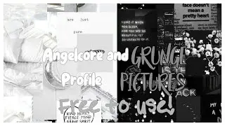 👼 Angelcore and Grunge Profile Pictures! 🖤