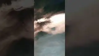 Милотаааас