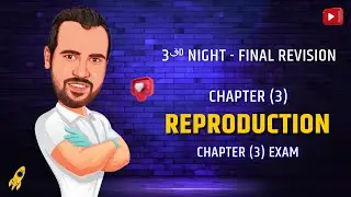 Chapter (3) Exam - مراجعه ليله الامتحان بيولوجي لغات 3 ثانوي 2024