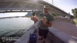 Tempe Town Lake Segway Tours - Things To Do In Tempe
