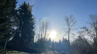 Morning Sunshine ☀️ in Seattle 