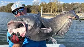 Giant River Monsters from the Deep! (Catch Clean and Cook)