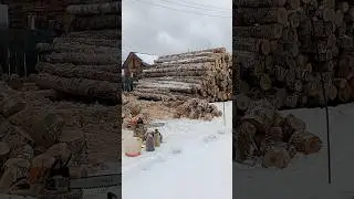 раскатили брëвна, пилим дрова. #работа