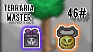 TERRARIA MASTER:AS LUAS SUPERIORES 46#