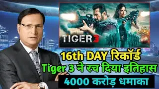 Tiger 3 Box Office Collection | Tiger 3 Day 16, Box Office Collection, Tiger 3 Advance Booking