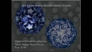 04 W1  S3  Viruses Then and Now 14 58