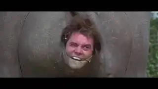 Рождение SPLщика