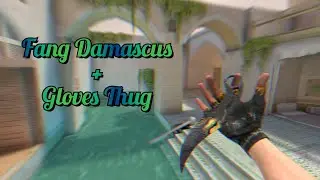 Fang Damascus + Gloves Thug