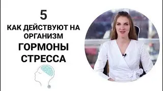 Как действуют на организм гормоны стресса