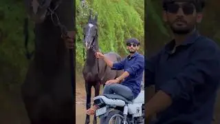 वक़्त💪 #short_video #shortvideo #viral #viral #youtubeshorts #horse #dosti