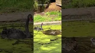 Enjoy the water