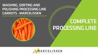 Washing, Sorting and Polishing Processing Line Carrots - Marcelissen