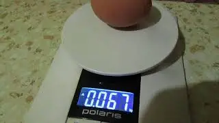 Сколько? Взвешиваем яйцо.