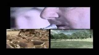 Fête de la chasse et de la pêche à Carrouge  [ Google.video du 28 juin 2007 ]