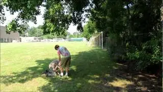 Behind The Scenes - The Rise of Super Duper