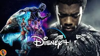 BREAKING Black Panther TV Series Sets 2024 Release Date