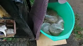 Сироп для наращивания пчелы в зиму.