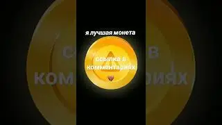 Hamster coin