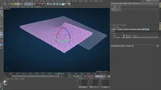 12Point, Spline & Particle Object Fields