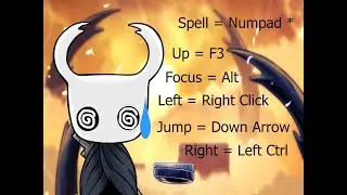 Chat chose my controls for this Hollow Knight Randomizer