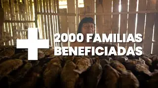 ¿TIENES UN EMPRENDIMIENTO SOSTENIBLE? POSTULA A EMPRENDEDORES POR NATURALEZA 2025