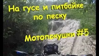Песчаные мотопокатушки #5! YCF Pilot F150 и BMW F800GS !