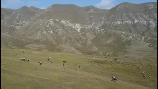 Скачки в центральном Дагестане • Horse racing in Dagestan