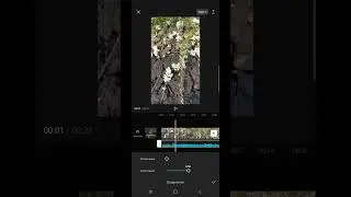 как в ВИДЕО РЕДАКТОРЕ  CapCut приглушить музыку в конце видео
