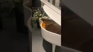 Подготовка. Сборка Сцены . Подиум
