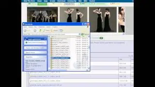 Как установить дополнительный континет в игру Sims 2